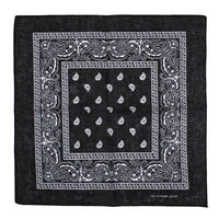 Paisley Print Bandana