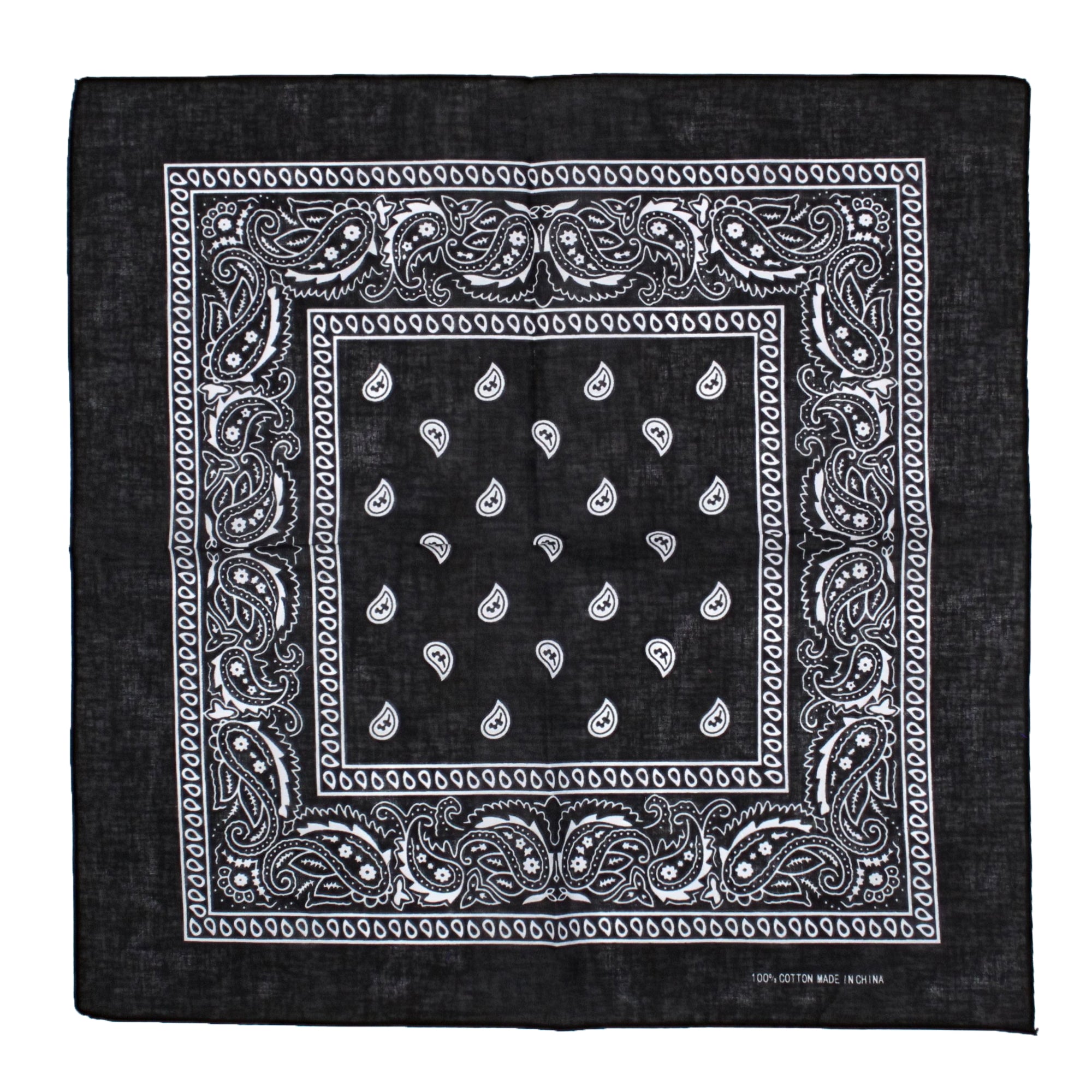 Paisley Print Bandana