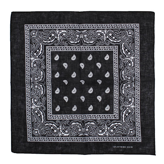 Paisley Print Bandana