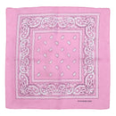 Paisley Print Bandana