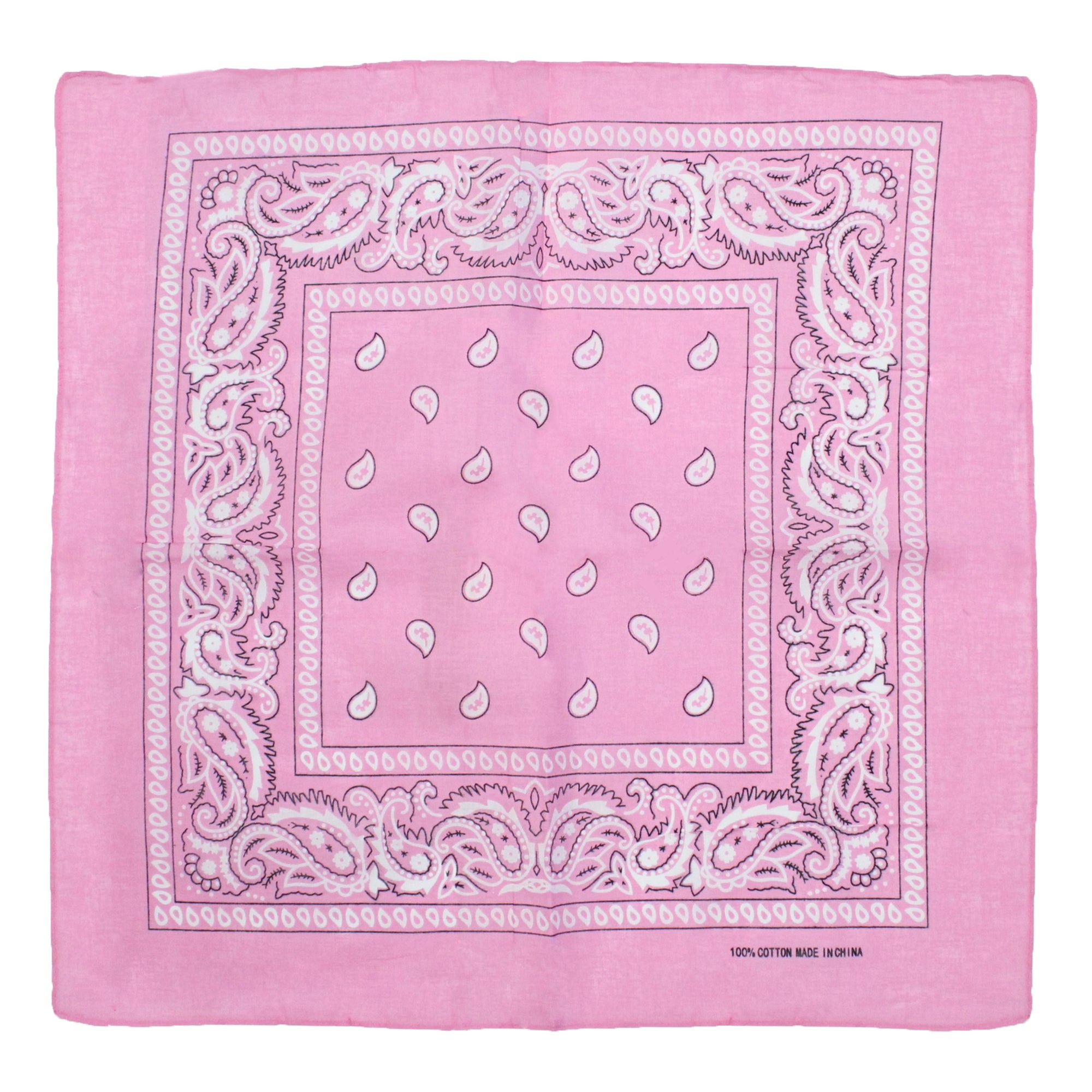 Paisley Print Bandana
