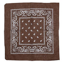 Paisley Print Bandana
