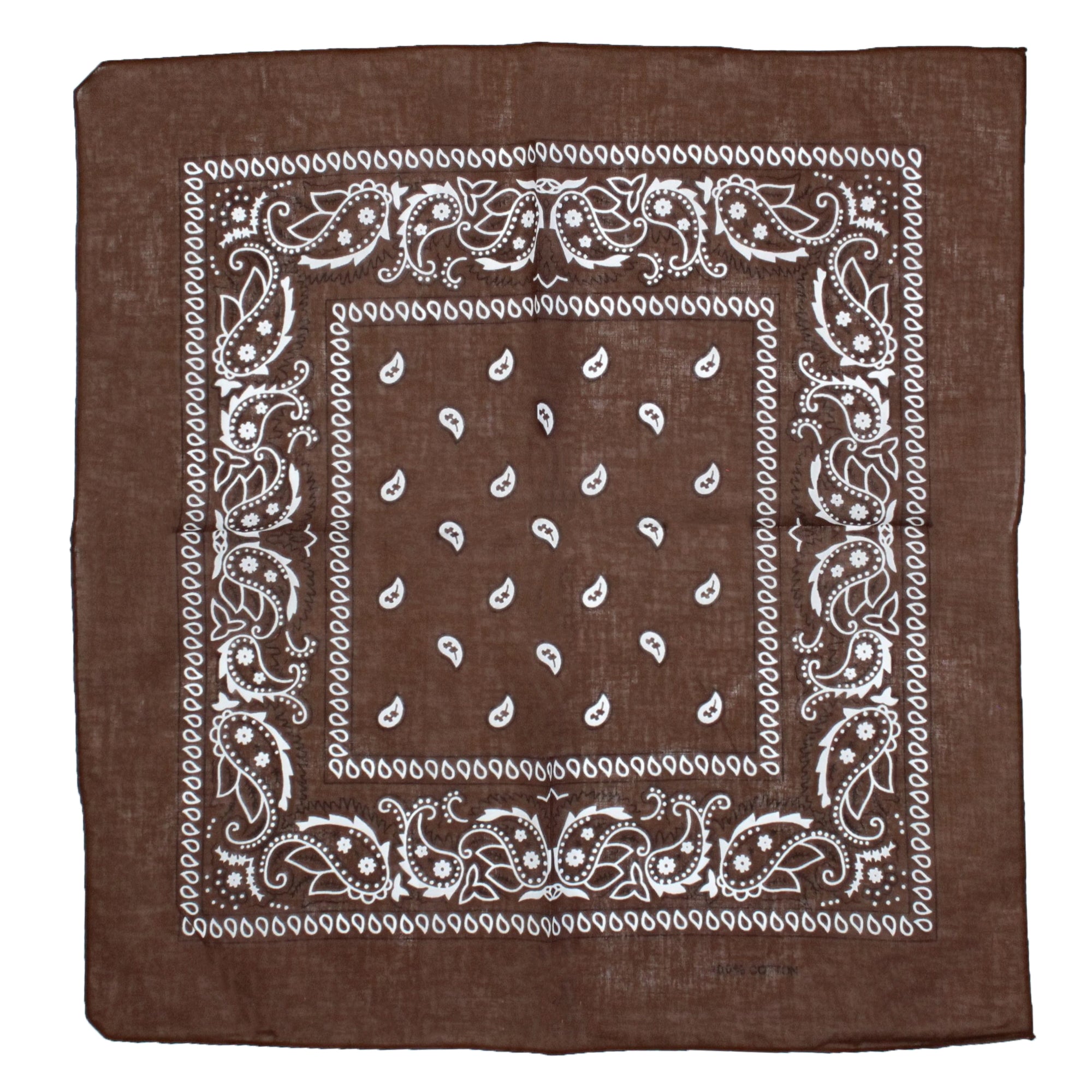 Paisley Print Bandana