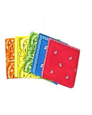 Assorted Paisley Bandanas