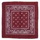 Paisley Print Bandana
