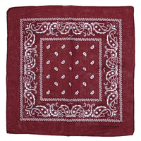 Paisley Print Bandana
