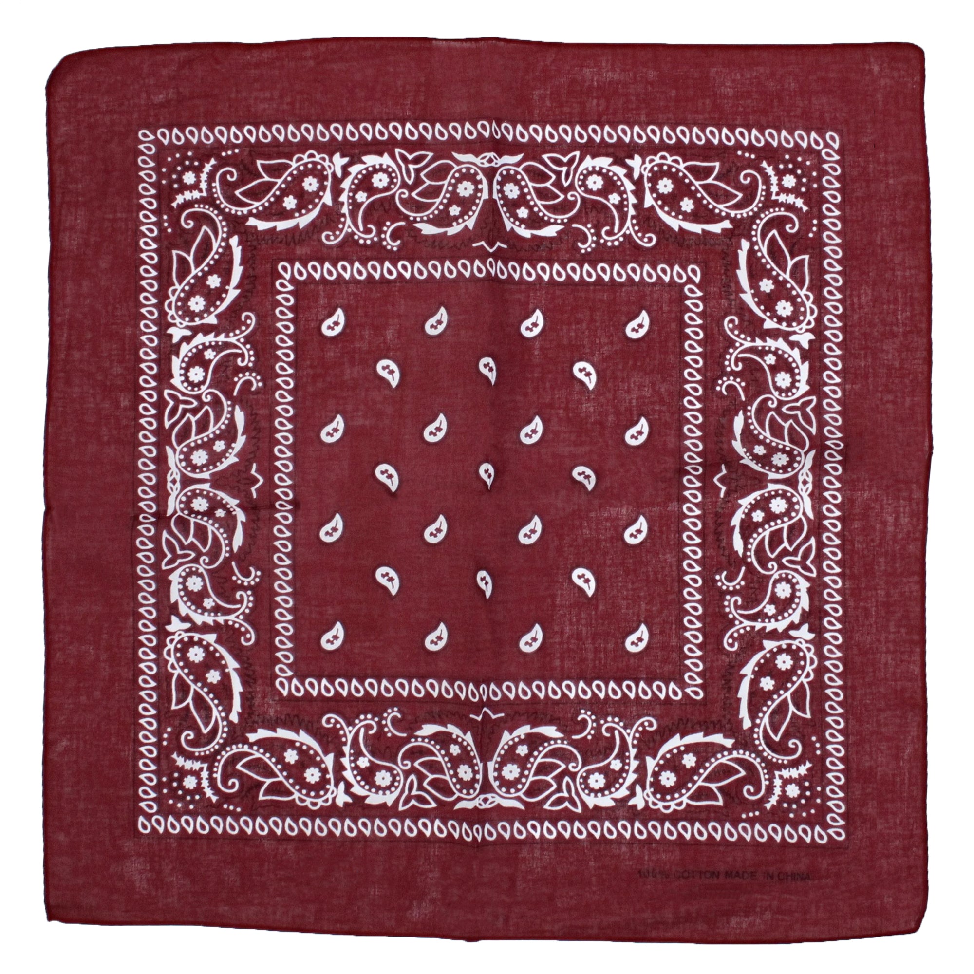 Paisley Print Bandana