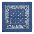Paisley Print Bandana