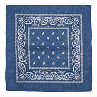 Paisley Print Bandana