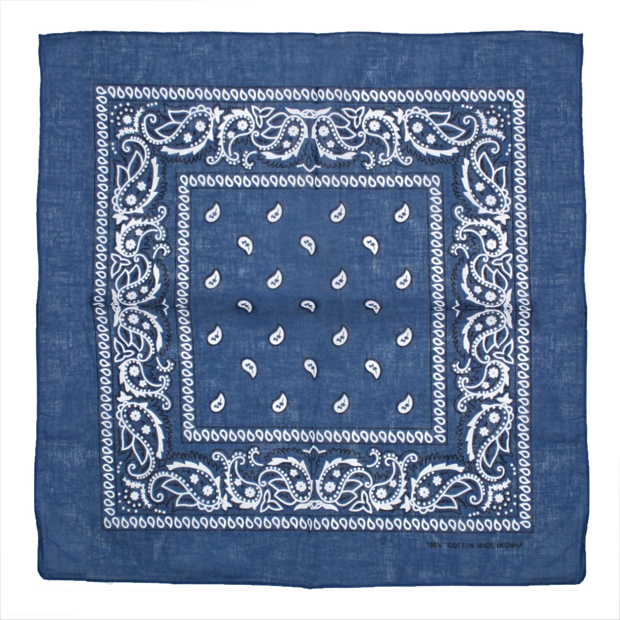 Paisley Print Bandana