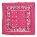Paisley Print Bandana