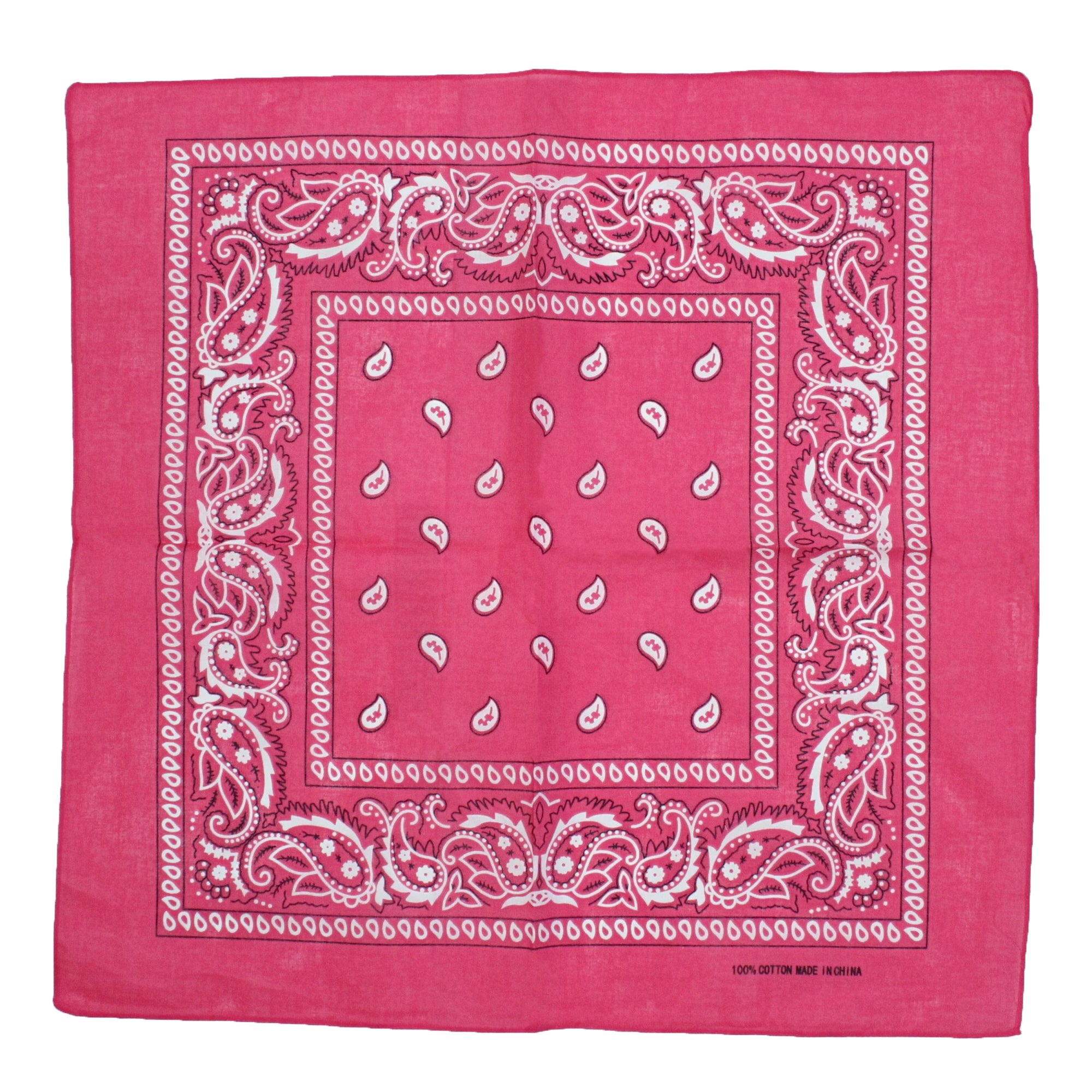 Paisley Print Bandana