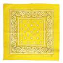 Paisley Print Bandana