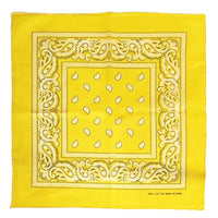 Paisley Print Bandana