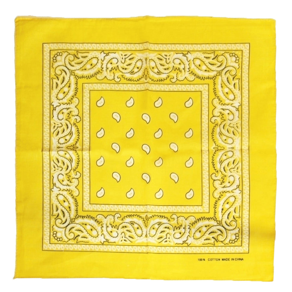 Paisley Print Bandana