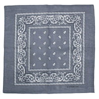 Paisley Print Bandana