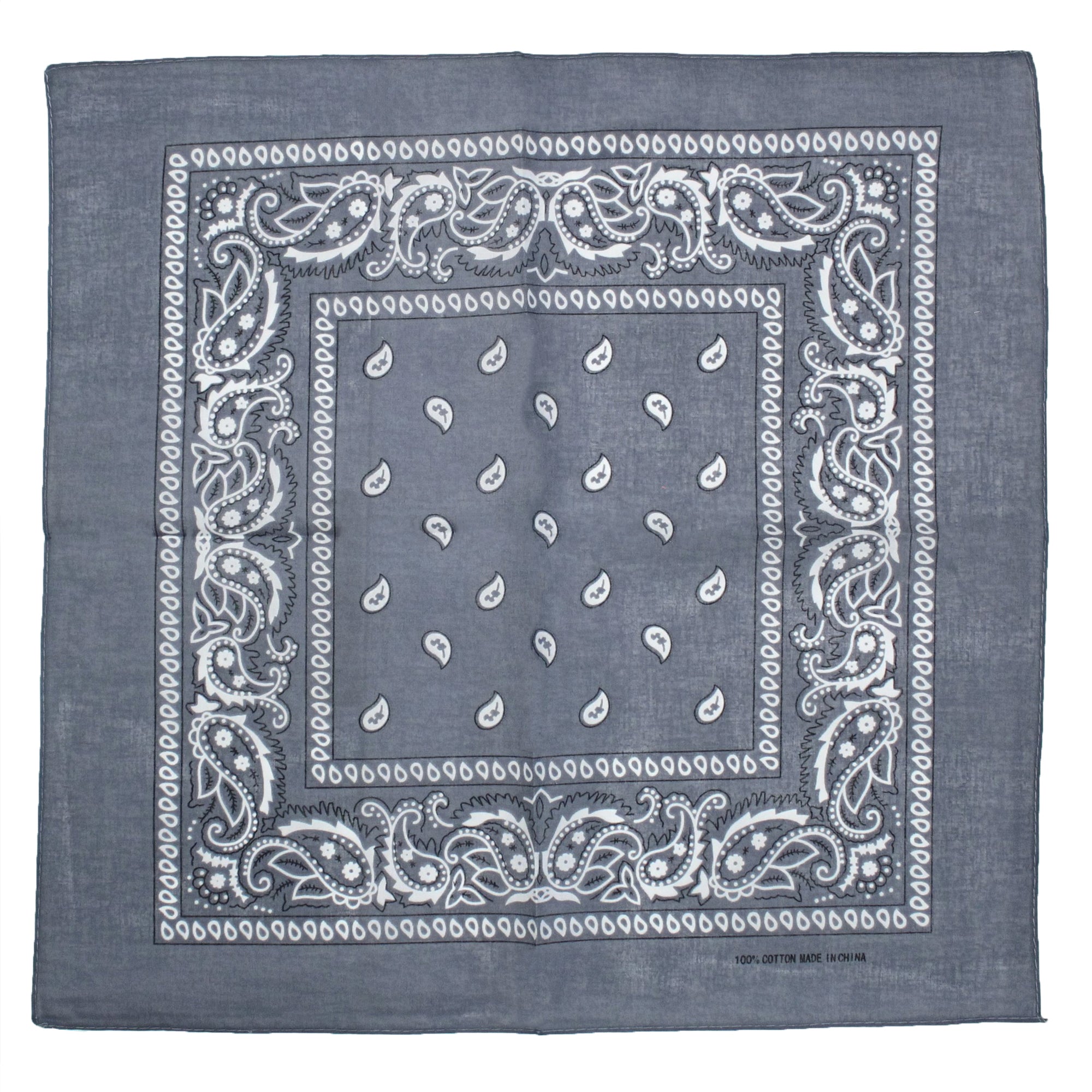Paisley Print Bandana