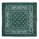 Paisley Print Bandana