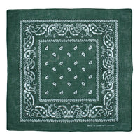 Paisley Print Bandana
