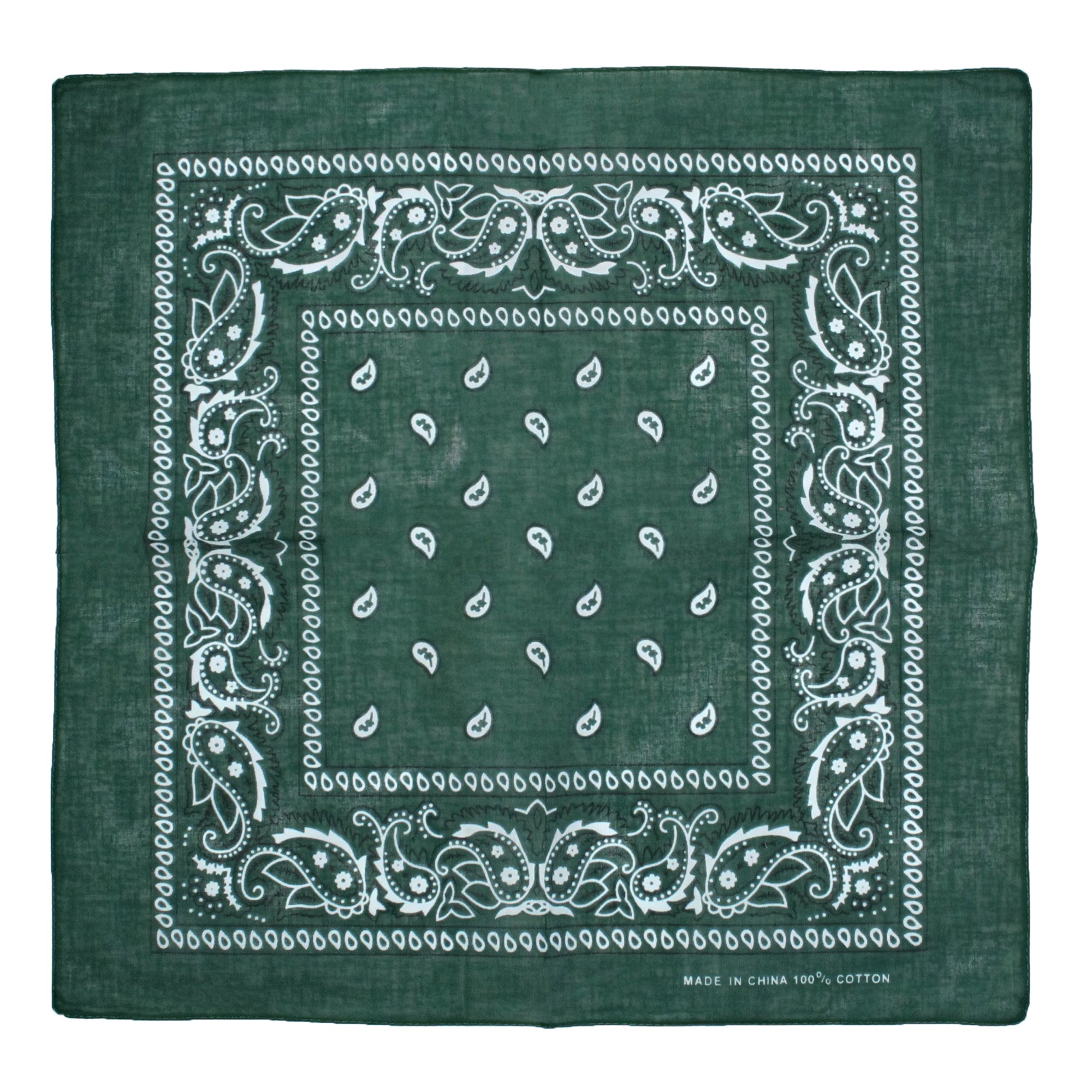 Paisley Print Bandana