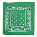 Paisley Print Bandana