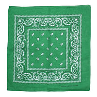 Paisley Print Bandana