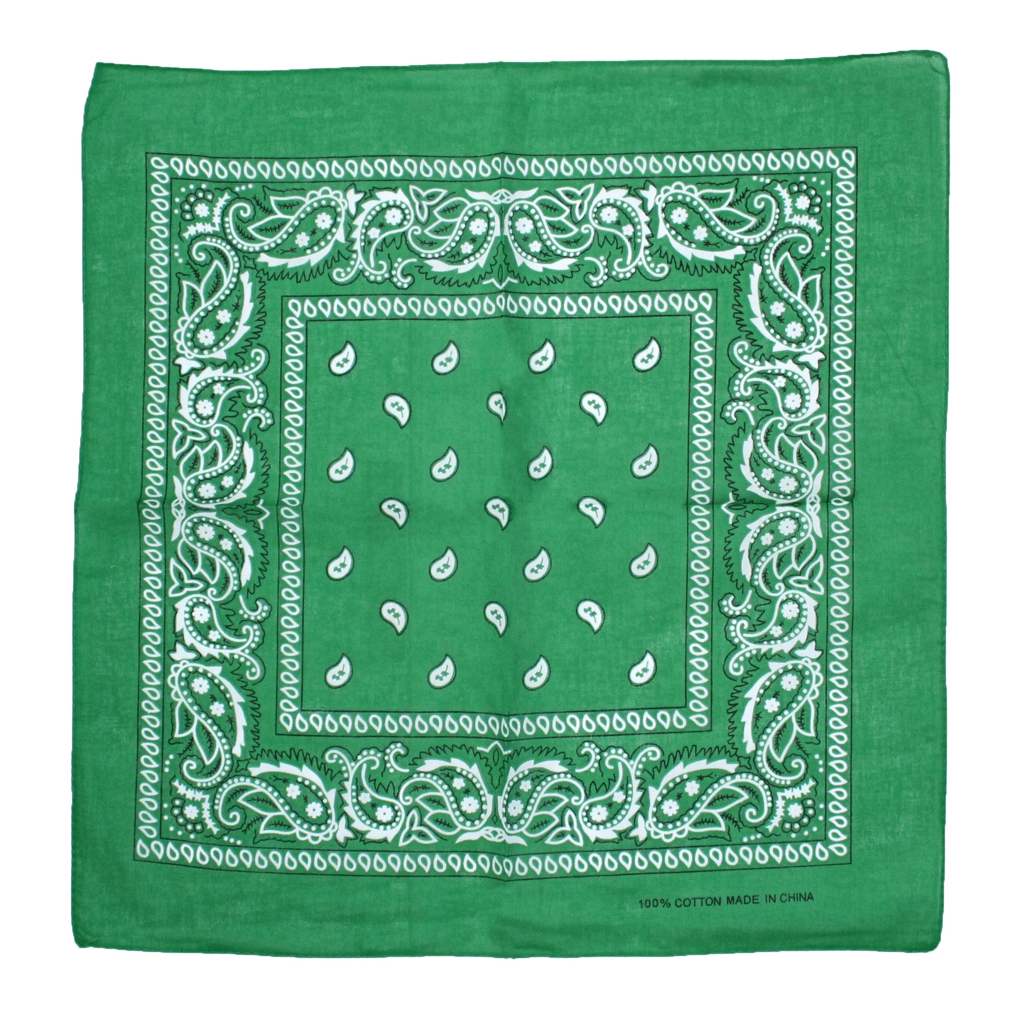 Paisley Print Bandana