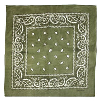 Paisley Print Bandana