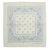 Paisley Print Bandana