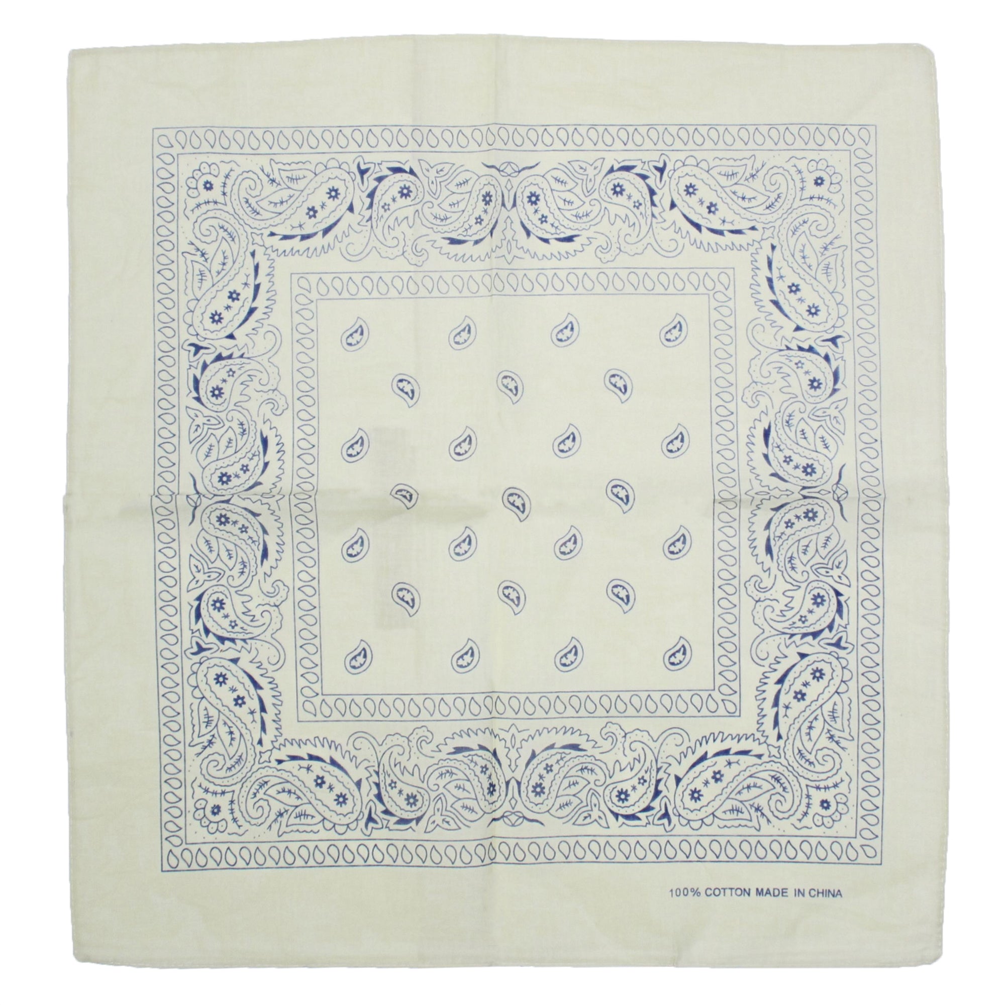 Paisley Print Bandana