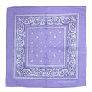 Paisley Print Bandana