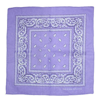 Paisley Print Bandana