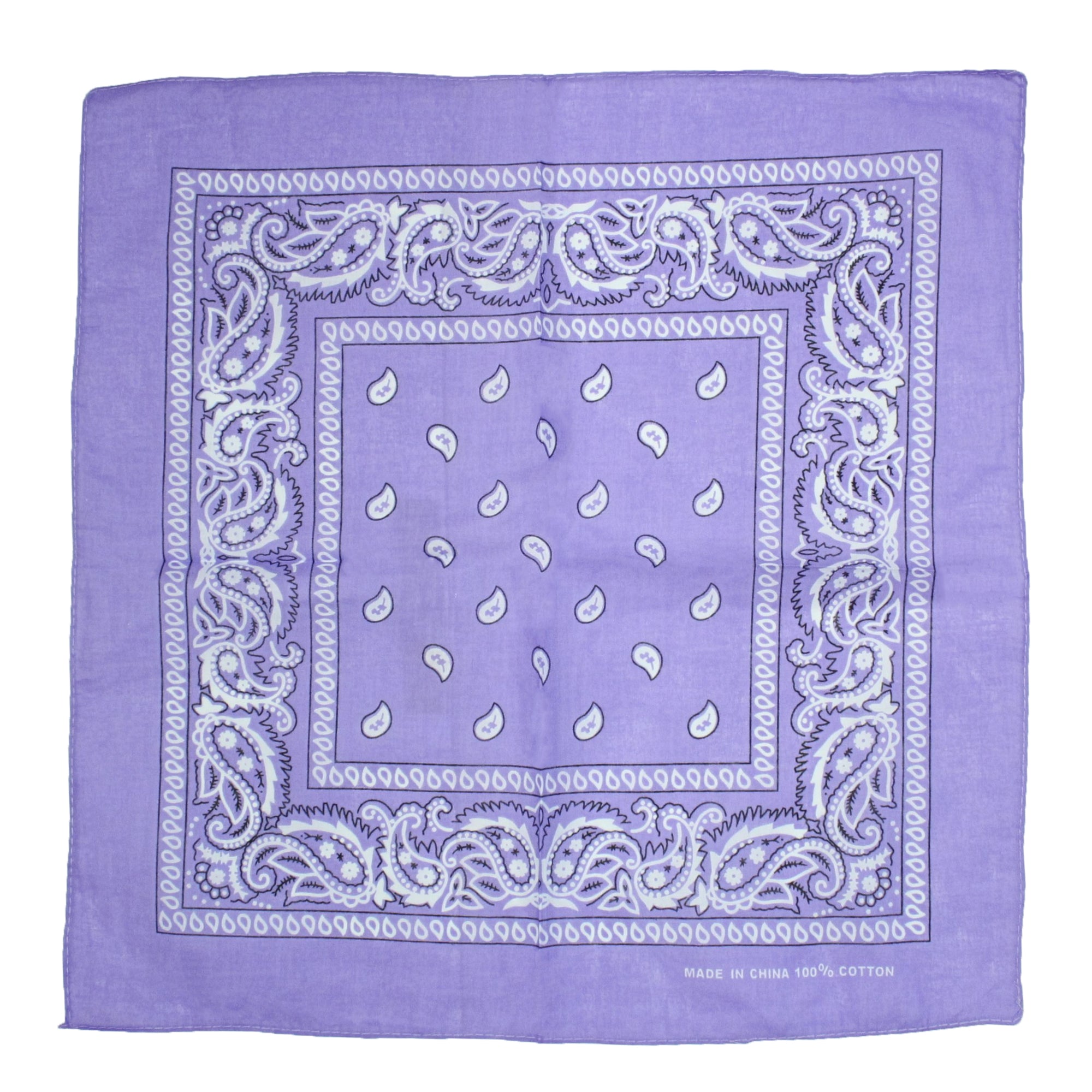 Paisley Print Bandana