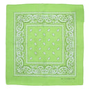Paisley Print Bandana