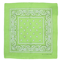 Paisley Print Bandana
