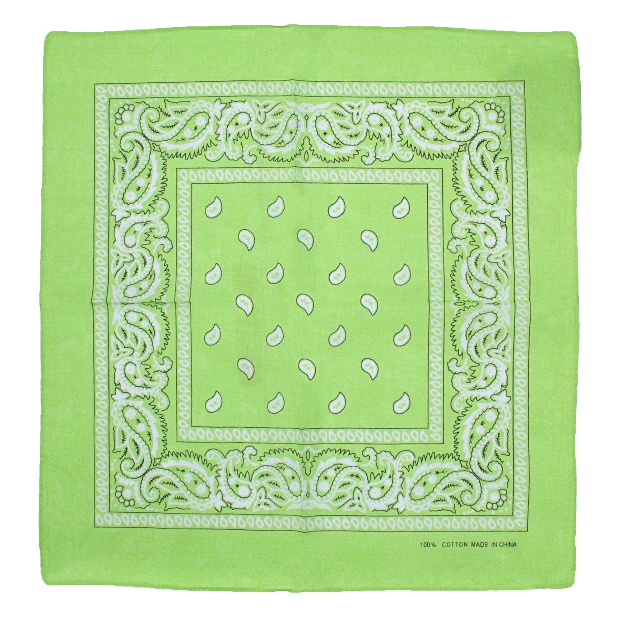 Paisley Print Bandana
