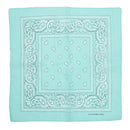 Paisley Print Bandana