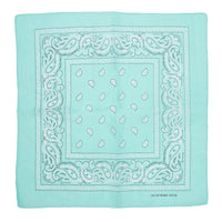 Paisley Print Bandana