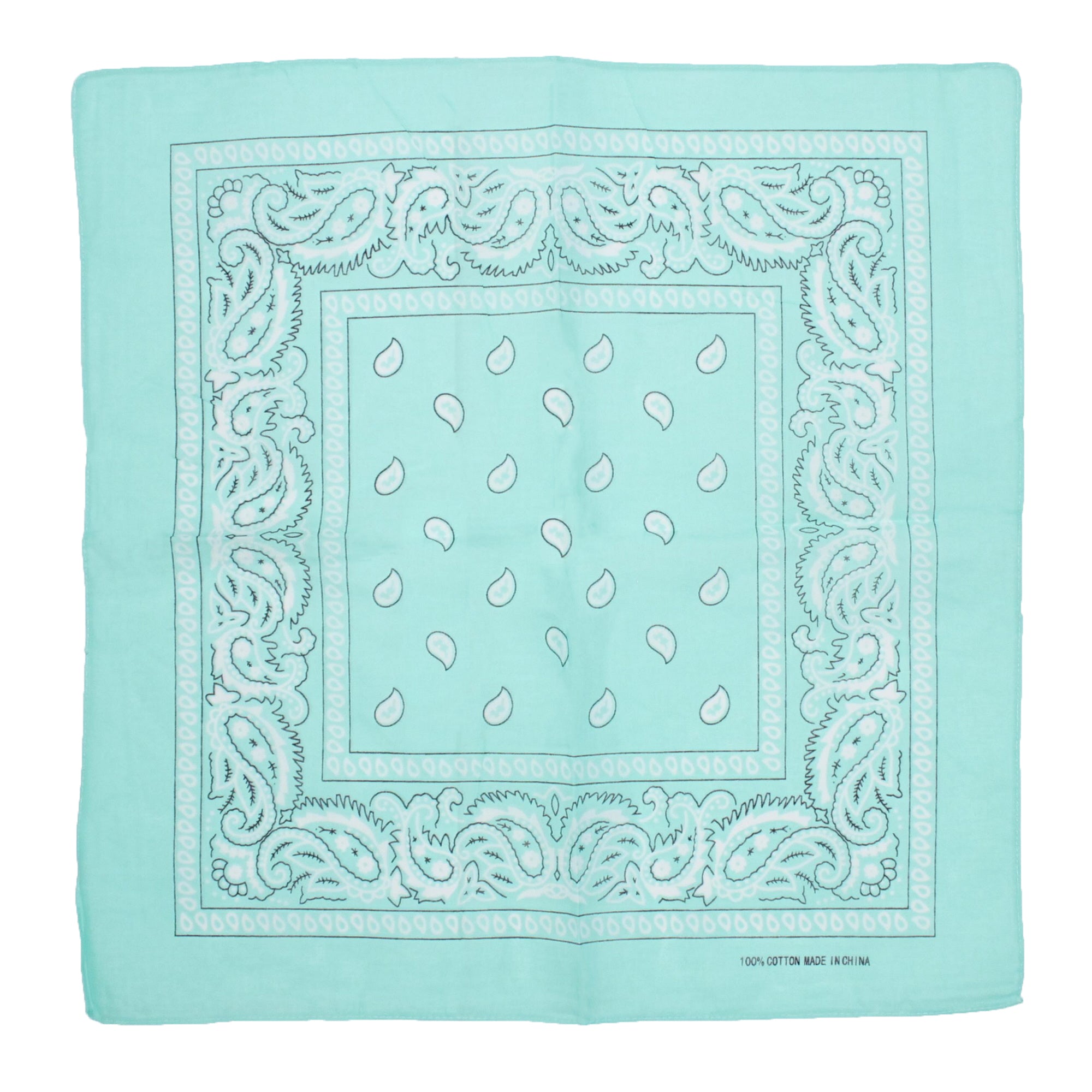 Paisley Print Bandana