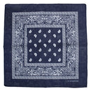 Paisley Print Bandana