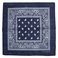 Paisley Print Bandana