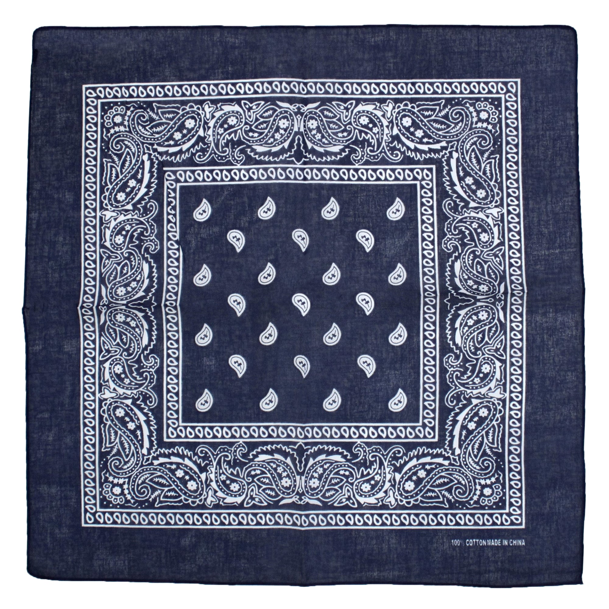 Paisley Print Bandana