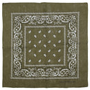 Paisley Print Bandana