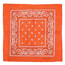 Paisley Print Bandana