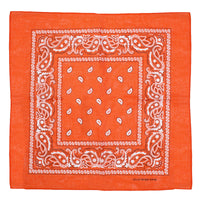 Paisley Print Bandana