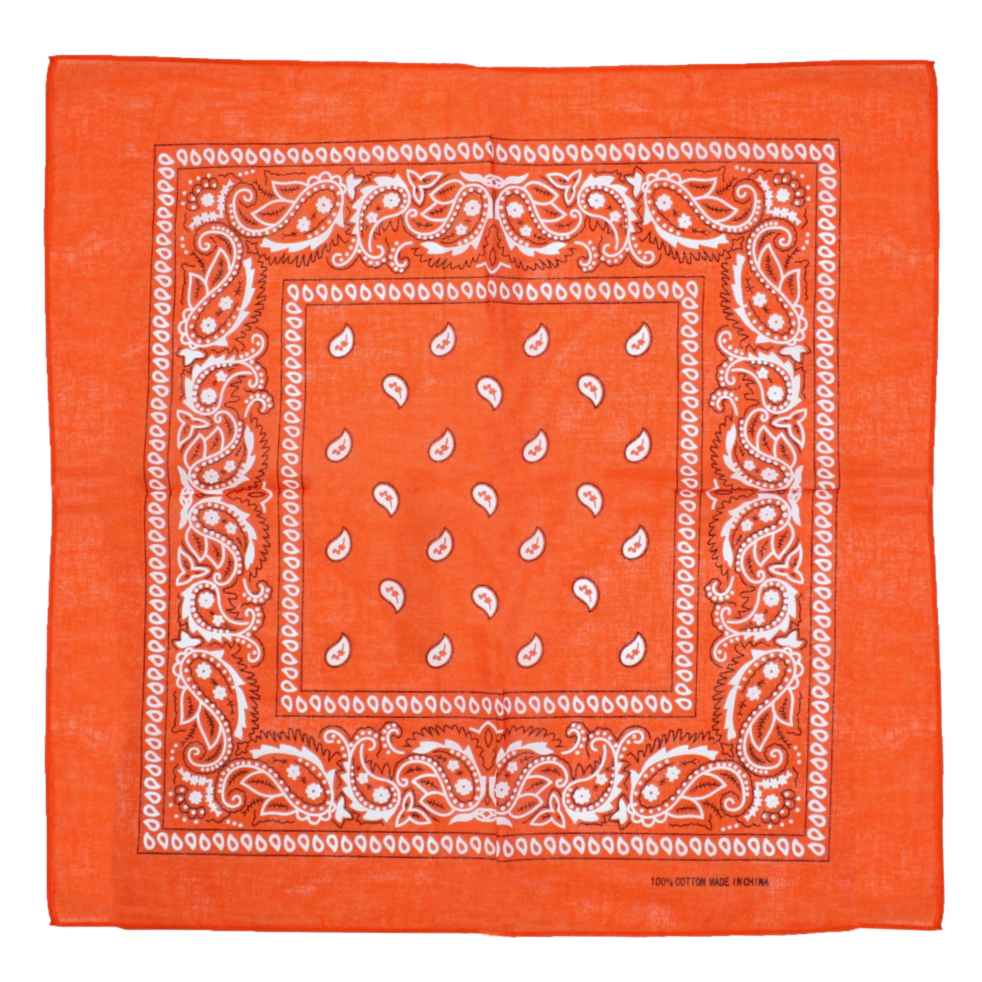 Paisley Print Bandana