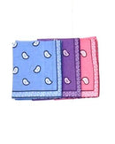 Assorted Paisley Bandanas