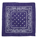 Paisley Print Bandana