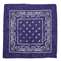 Paisley Print Bandana