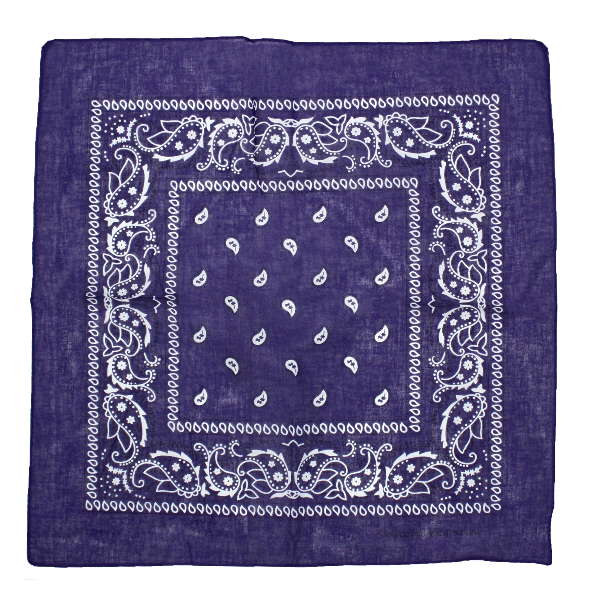 Paisley Print Bandana